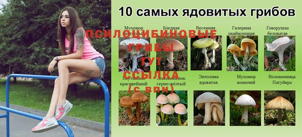 гашишное масло Лабытнанги